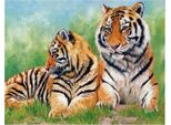 Vikpap W2574 - Pittura Numerica, Tela 40 × 30 Cm - Famiglia Tiger