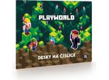 Schede Numeriche Oxybag - Playworld