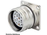 799913411K Hummel Set Incl. Contatti M23 Connettore Per Dispositivi Di Segnalazione, Inserto A Saldare Diritto A 9 Poli 1+8, Presa Con
