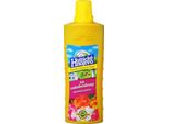 Concime Liquido Hostic Per Rododendri E Azalee Con Guano 500 Ml
