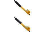 Set Di Ammortizzatori Posteriori, Non Portanti Bilstein B6 Dampmatic® Per Mb Sprinter E Altri