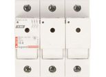Fusibile Sezionatore 3P 10A D01 R303 606703