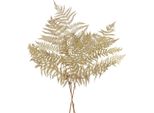 Fiori Secchi Decorativi Felce 70 Cm - 10 Foglie Di Felce Naturali - Composizioni Floreali Secche E Decorazioni Autunnali, 10 Pezzi