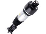 Ammortizzatore Anteriore Destro Per Mercedes Classe E S211 W211 Airmatic+Ads A2113205413