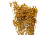 Romantico Bouquet Di Fiori Secchi Per Decorazioni Vintage Ed Eleganza Senza Tempo