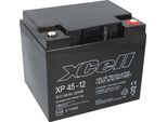 Batteria Al Piombo Xcell XP45-12 12V 45Ah Pb Filettatura Interna M6