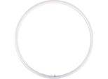 Lampada Ad Anello Di Ricambio Falcon Eyes Per FLC-65 65W