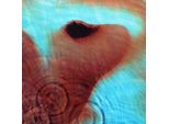 Pink Floyd - Meddle (Ristampa) (Rimasterizzato) (180G) (Lp)