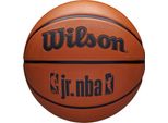 Wilson Palloni Nba Jr Drv Fam Logo, WZ3013001XB