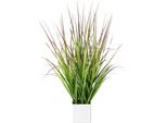 Kunstgras Creativ Green "Blutgras", GrüN (GrüN, Rot), B:15Cm H:61Cm, Kunststoff, Kunstpflanzen, Im WeißEn Kunststofftopf