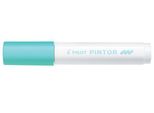Pilot 542046 Pilot Pigmentmarker Pintor, Medium, PastellgrüN