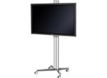 Sms X Pillar 1955 W/S Pezzo Singolo - Non Completo