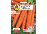 Semi Di Carota Tardiva Berlikumer - Nastro Di 6 M, Radici Dolci E Durature