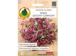 Barbabietola 10G Semi Per La Germinazione