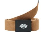 Dickies Orcutt Cintura Verde Uomo Verde Taglia Unica