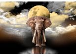 Wooden City Puzzle In Legno Elephant Dreams 2In1, 300 Pezzi Eco