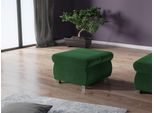Piccolo Pouf Anzu 2 - Verde 1