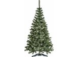 Aga Albero Di Natale Abete 220 Cm