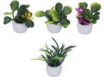 Pianta In Vaso Per Casa Delle Bambole, Pianta Bonsai In Miniatura, Piante In Vaso In Miniatura, Mini Pianta Per Casa Delle Bambole, Mini Pianta Bonsai Per Casa Delle Bambole, Piante In Vaso In Miniatura