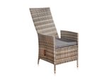 Sedia Da Giardino In Polyrattan Reclinabile Grigio Incl. Cuscino Resistente Alle Intemperie
