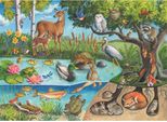 Puzzle Ravensburger Animali Sopra E Sotto Terra - I Misteri Della Natura 60 Pezzi