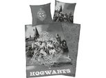 Harry Potter Biancheria Da Letto Reversibile Hogwarts 2Pz 135 X 200 Cm 80 X 80 Cm