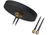 Teltonika PR1KCL25 Antenna Da Tetto, Combo Mimo Mobil Sma