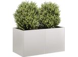 Maison Exclusive - Vaso Da Fiori 80X40X40 Cm In Acciaio Inox