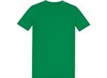 Awdis - Maglietta "150"" Con Scollo Rotondo Per Bambini RW10683 (164-170) (Verde Irlandese)"