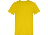 Awdis - Maglietta "150"" Con Scollo Rotondo Per Bambini RW10683 (164-170) (Giallo Sole)"