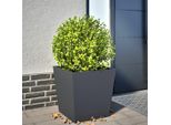 Maison Exclusive - Vaso Da Fiori Antracite 50X50X50 Cm In Acciaio
