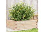 Maison Exclusive - Vaso Da Fiori 70X70X23 Cm In Legno Massello Di Pino