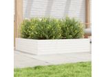 Maison Exclusive - Fiorei Bianco 100X100X23 Cm In Legno Massello Di Pino