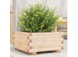 Maison Exclusive - Vaso Da Fiori 50X50X26,5 Cm In Legno Massello Di Pino