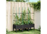 Maison Exclusive - Vaso Da Fiori Con Griglia Rampicante Nero 120X40X142,5 Cm Pp