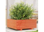 Maison Exclusive - Vaso Da Fiori Marrone Cera 60X60X26,5 Cm Legno Massello Di Pino