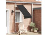 Maison Exclusive - Tenda Da Sole Retrattile Azionabile Manualmente 100 Cm Antracite