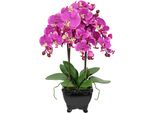 Kunstblume I.Ge.A. "KüNstliche Orchidee In Schale Phalaenopsis Kunstblume Blume", Rosa (Dunkelrosa), B:20Cm H:60Cm L:18Cm, Polyester, Kunstpflanzen, Kunstorchidee Deko Dekoblume Seidenblume