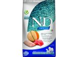 N&D Ocean Dog Adult M/L Salmone & Merluzzo & Melone 2,5Kg