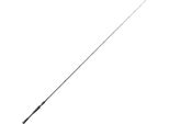 Shimano Fishing Poison Adrena Baitcastrute Silber 2.11 M / 5-42 G Silber 2.11 M