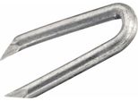 Grampions Fadix 3,8 X 38 Mm 50 Pezzi