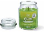 Candela Magic Lights 8030650530505 Zitronella 510 Ml