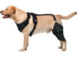 Inf Tutore Per Gamba Di Cane: Supporto Articolare E Protezione, Manicotto Zampa L