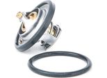 Topran 202 317 - Termostato Acqua Di Raffreddamento Oe 13 38 052 Per Astra G, Combo, Combo (71), Combo Tour, Meriva (X03), Vectra B (J96)