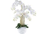 Orchidea Phalaenopsis 90 Cm Bianca - Pianta Artificiale Real Touch In Vaso Di Plastica 25X20 Cm
