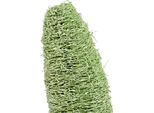 Luffa Grande Su Stelo Verde 25 Pezzi Decorazione Naturale Composizione Secca