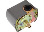 Interruttore Di Controllo Della Pompa Dell'acqua Interruttore Automatico Di Pressione Dell'acqua Zg1/4In Pressostato Della Pompa Dell'aria 110V?230V
