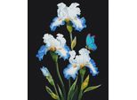 Dipingere Con I Numeri Brushme 40X50 Cm Iris