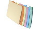 Exacompta 337000E Scorte Rimanenti: Cartella Exacompta Super 210, Din A4
