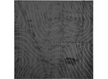 Tappeti Per Zone Specifiche Vidaxl Huarte Antracite 120 X 120 Cm Poliestere